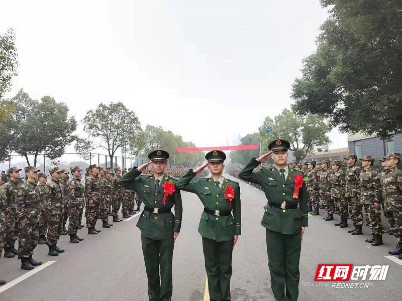 士官改革最新消息2020年深度解读,士官改革最新动态深度解读,2020年进展与未来展望