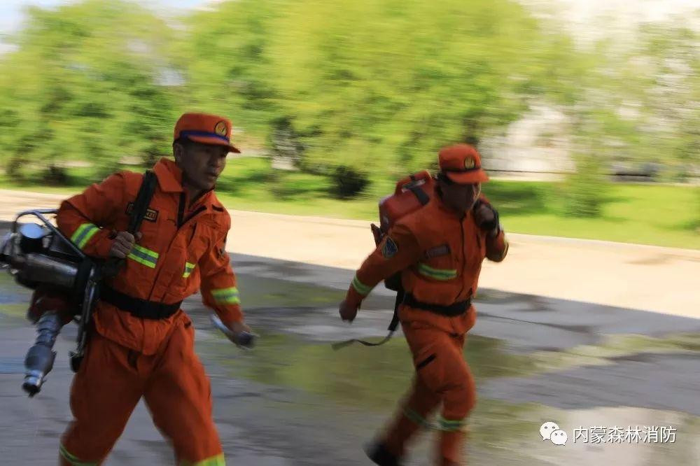 蛟龙突击队侦察比武，精英之间的较量，蛟龙突击队侦察比武，精英对决