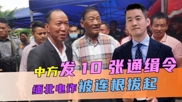 中缅同盟军通缉的十人,背景、行动与影响,中缅同盟军通缉十人名单,背景揭秘、行动细节及影响分析