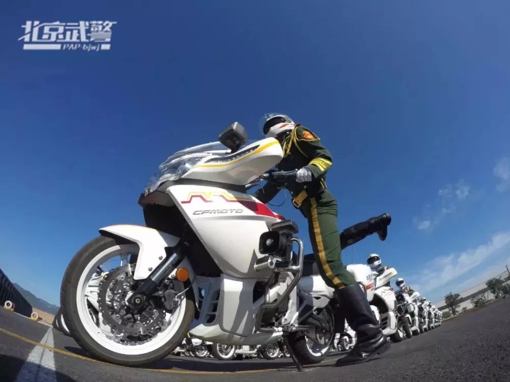 电视剧国宾护卫队,展现荣耀与责任,电视剧国宾护卫队,荣耀与责任的展现