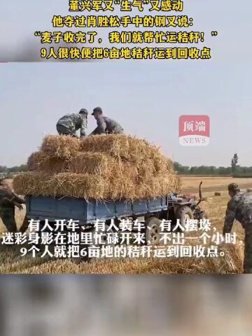 肖思远偷偷收麦子的故事，肖思远秘密收割麦子的故事