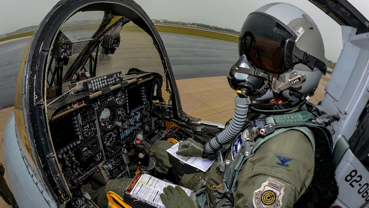 疣猪A10，荒野中的独特战士，疣猪A10，荒野战士的独特风采