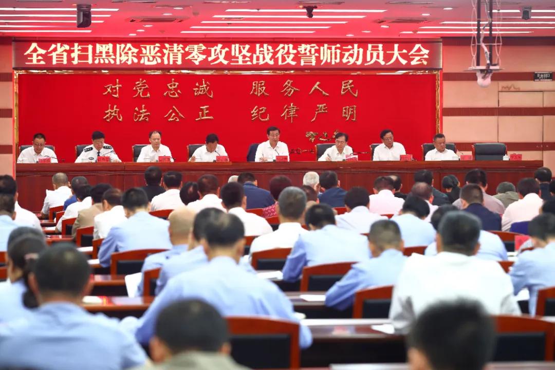 海南战役历史背景分析，海南战役历史背景深度解析