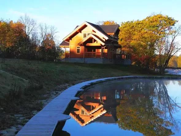 林荫大道与新浪博客，一场数字时代的文化交融之旅，林荫大道与新浪博客，数字时代的文化交融之旅