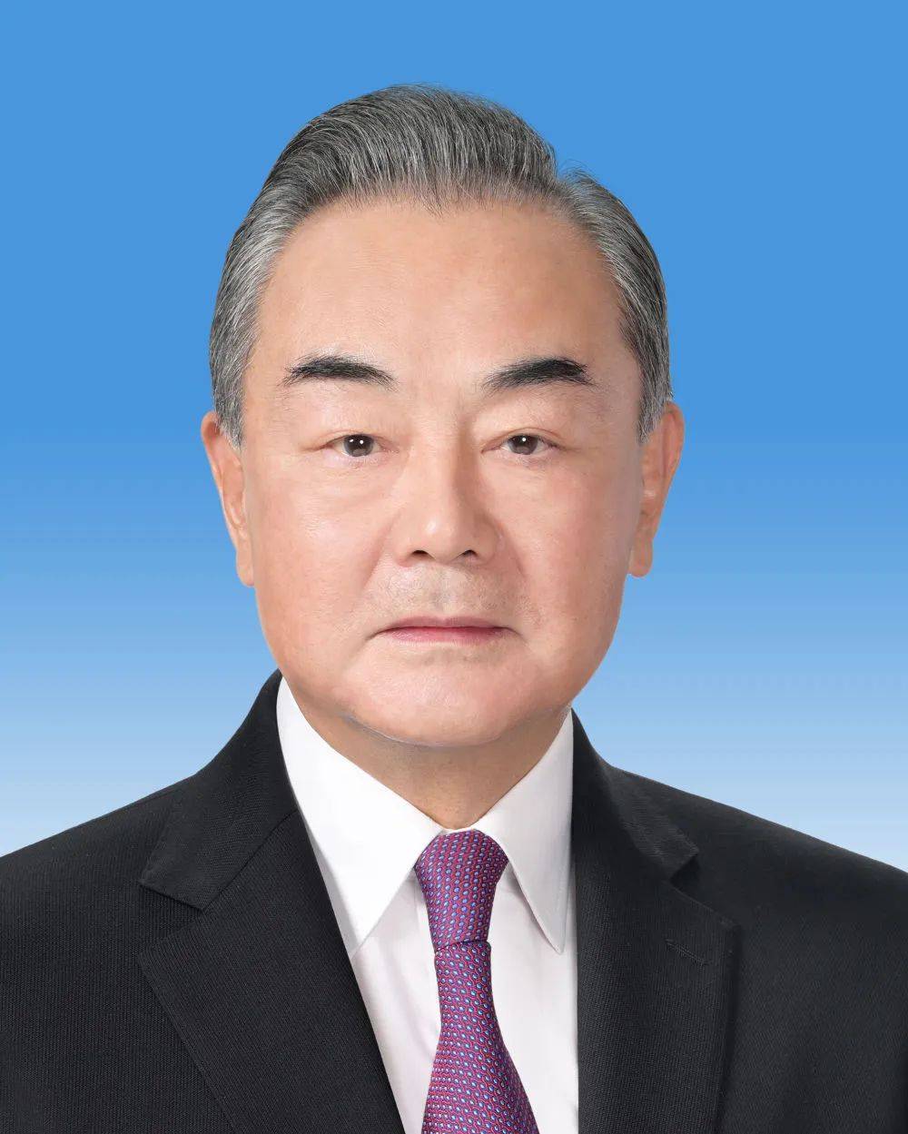 外交部部长与党委书记，引领外交事业的核心力量，外交部部长与党委书记，引领外交事业发展的核心力量