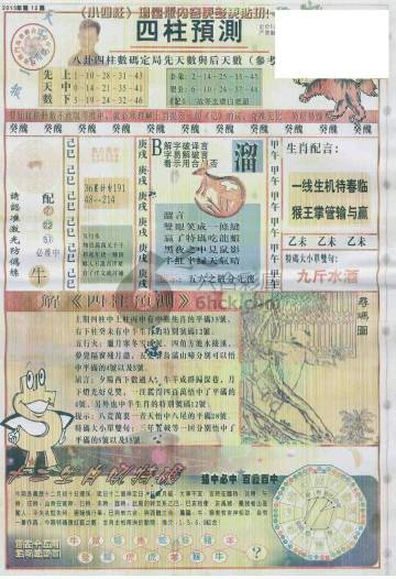 王中王动物一肖图，揭示神秘图腾与生肖文化的独特交融，王中王动物一肖图，神秘图腾与生肖文化的独特交融揭秘