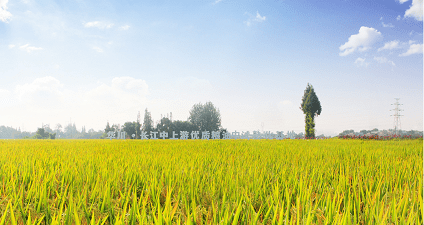 CCTV7农业，展现农村新貌，传递农业信息，CCTV7农业频道，展现农村新貌，传递农业信息资讯