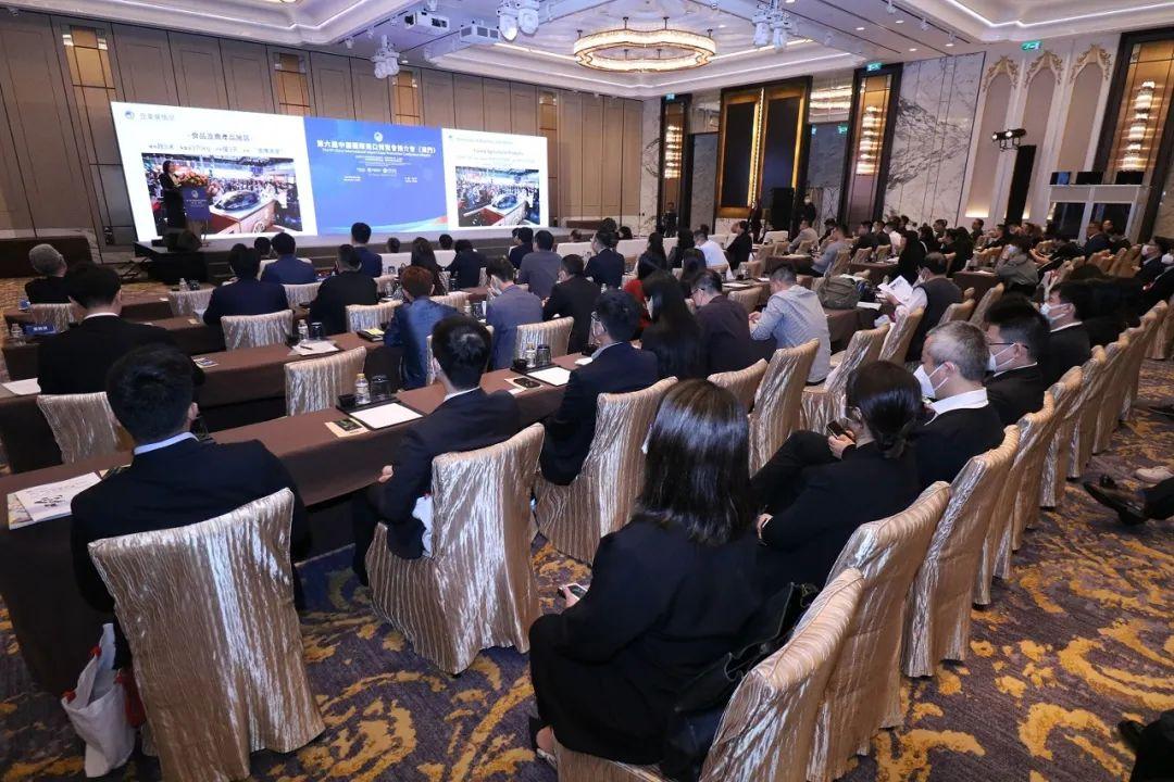 澳门今晚必开一肖一特之探索与预测(第284期深度解析),澳门第284期深度解析,今晚必开一肖一特之探索与预测