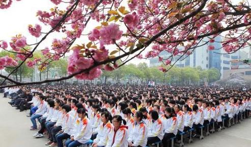 骁龙600与麒麟710,性能比较与技术探讨,骁龙600与麒麟710,性能比较及技术深度探讨