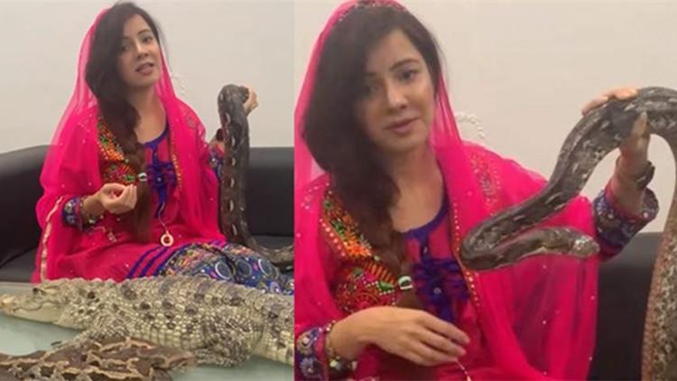 今日头条热搜文章,探索热点背后的故事,今日头条热点探索,揭秘故事背后的真相