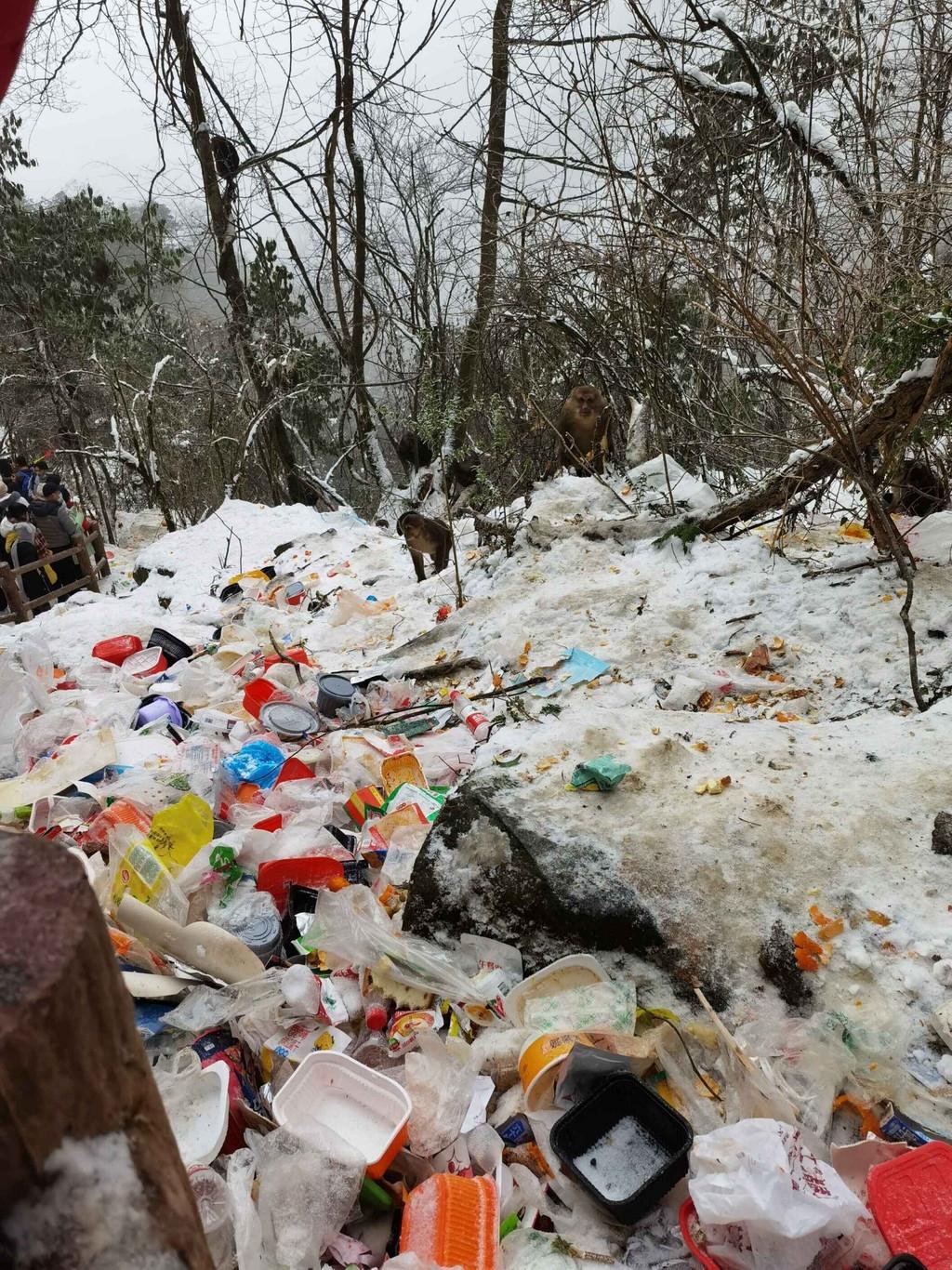 多地取消元旦休假，影响与挑战，多地取消元旦休假，影响与应对挑战
