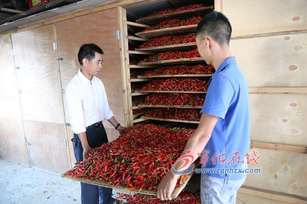 王中王免费资料大全料大全一一l，深度解析与探索，王中王资料大全深度解析与探索