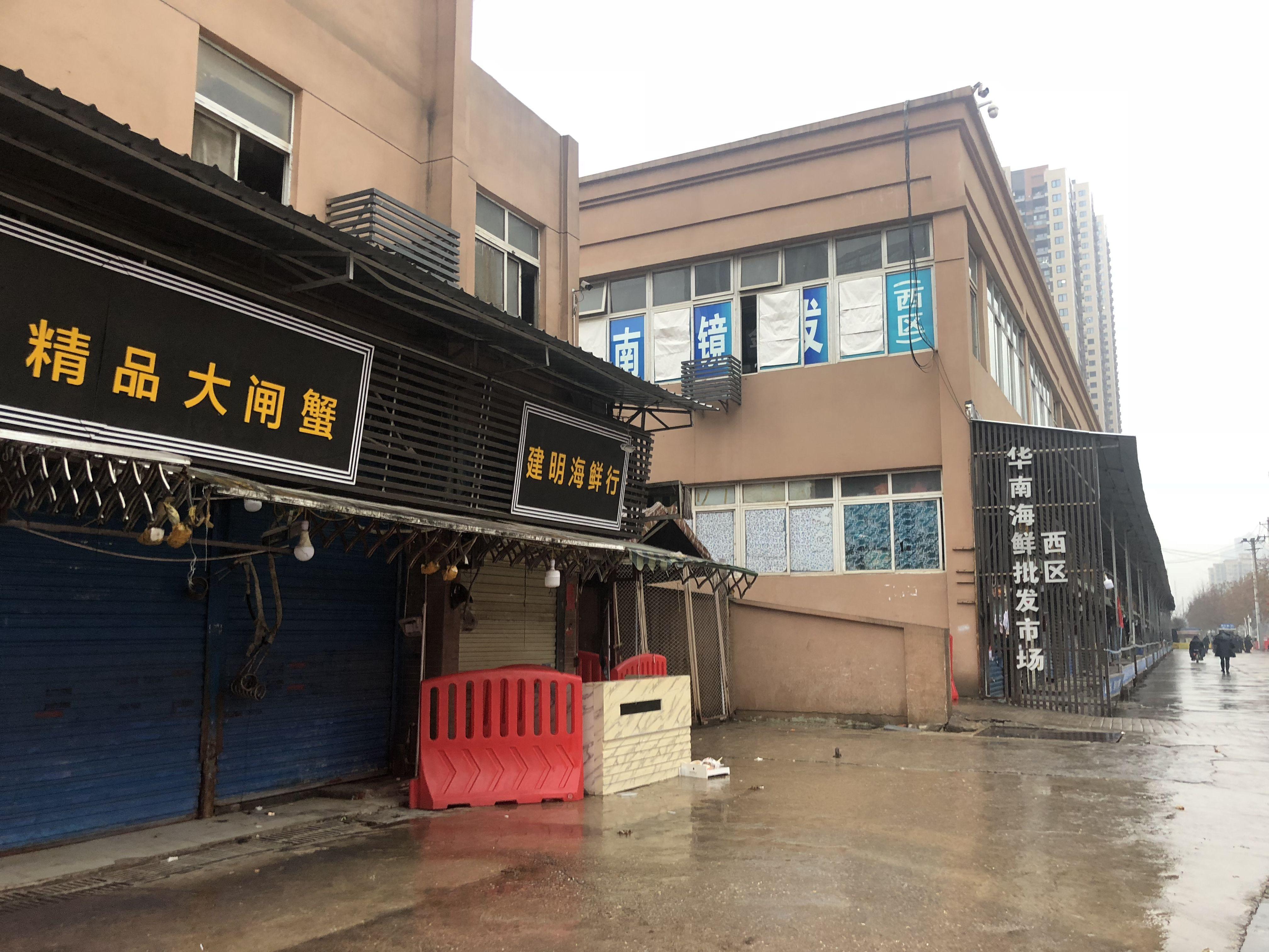 华南海鲜市场女老板生死之谜，探寻真相的背后，华南海鲜市场女老板生死之谜揭秘，探寻背后的真相