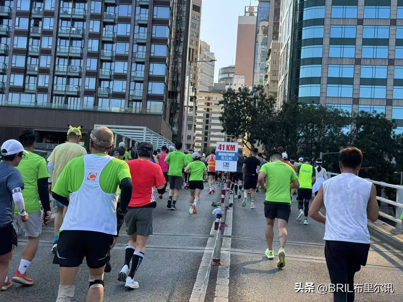 香港特马盛宴，探索未来的繁荣与活力，香港特马盛宴，展望繁荣与活力的未来之旅