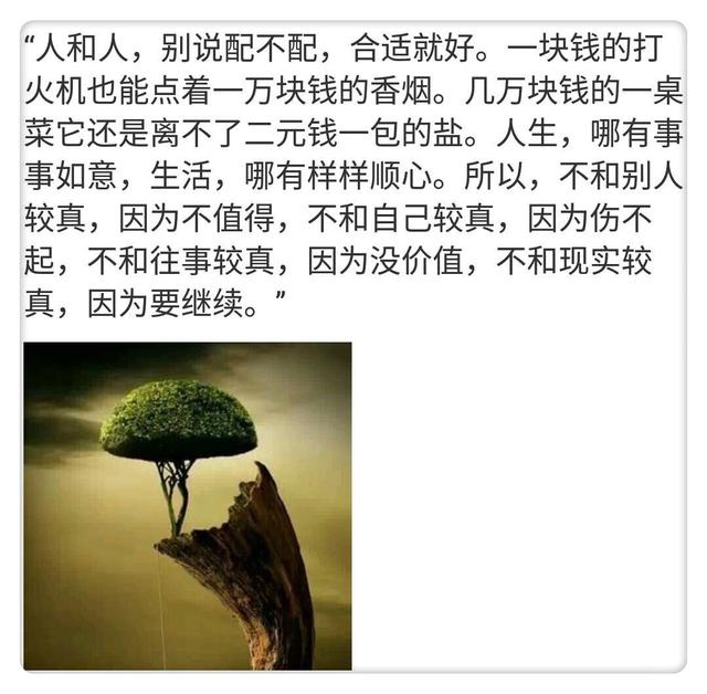 816工程，深入地下，探寻秘密观后感，最火的一句揭示深层意义，揭秘地下工程816的秘密，探寻深层意义，最火观后感揭示真相