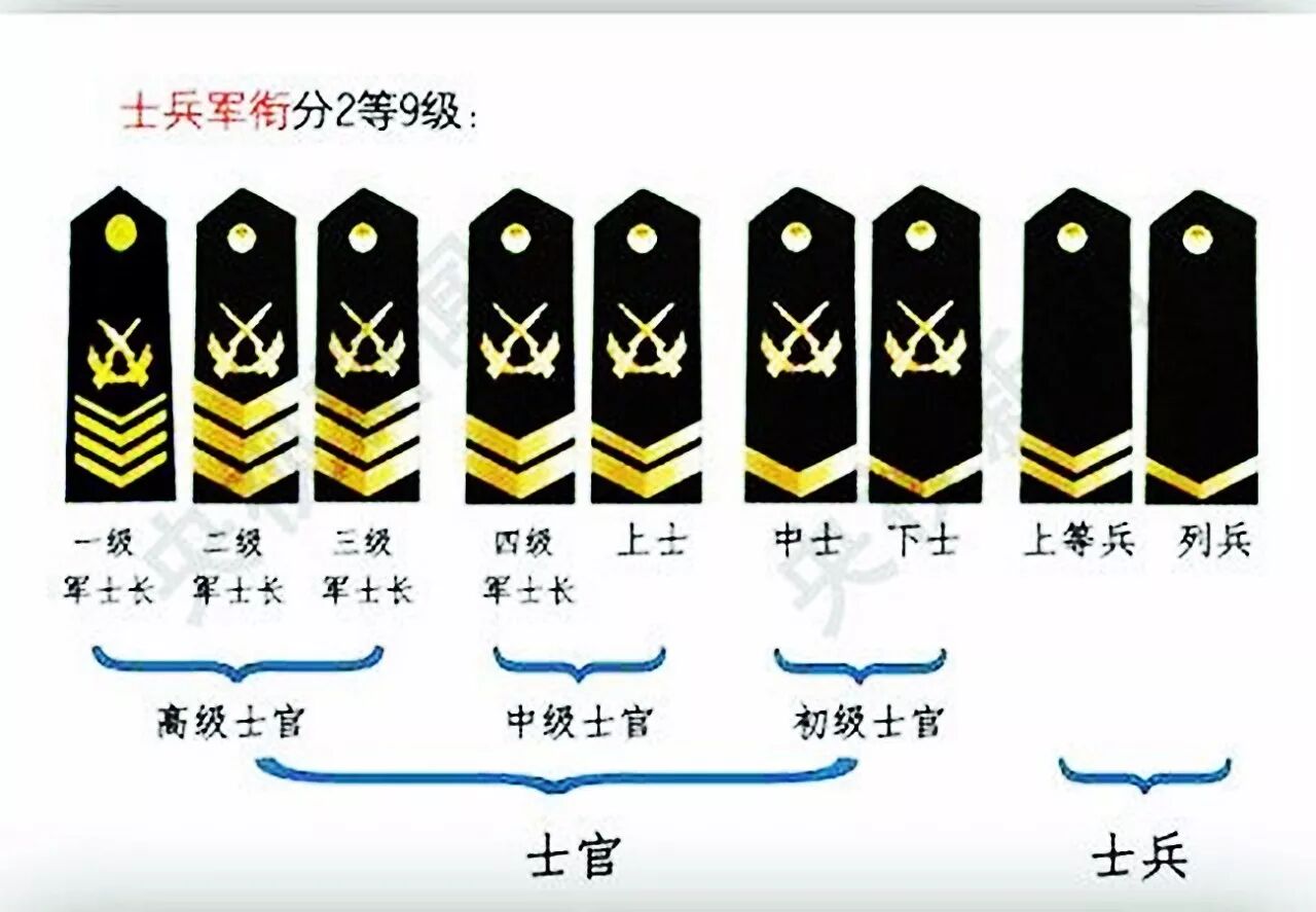 士官的作用与意义，军队稳定的中坚力量，士官，军队稳定的中坚力量，作用与意义解析
